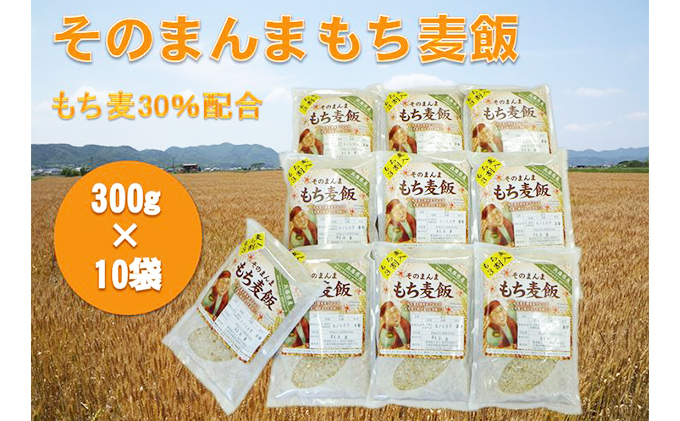 そのまんま もち麦飯 ダイエットレシピセット