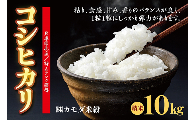 米 令和6年産 兵庫県北産 こしひかり 10kg [ お米 白米 精米 おこめ コメ ]