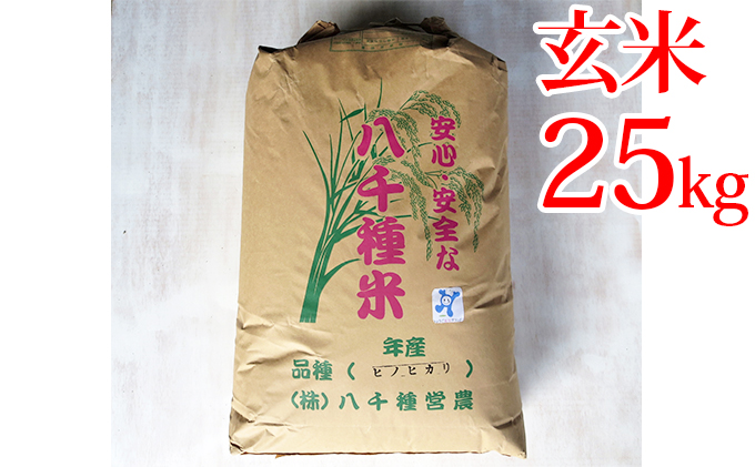 【令和５年度】兵庫県福崎町産 ひのひかり 八千種米25kg 玄米/兵庫県認証食品（うるち米）兵庫推奨ブランド