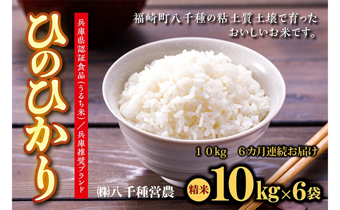 【定期便】兵庫県福崎町産 ひのひかり 八千種米10kg×６回 精米/６ヶ月連続お届け/兵庫県認証食品（うるち米）兵庫推奨ブランド