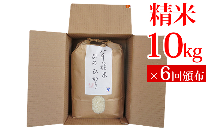 【定期便】兵庫県福崎町産 ひのひかり 八千種米10kg×６回 精米/６ヶ月連続お届け/兵庫県認証食品（うるち米）兵庫推奨ブランド