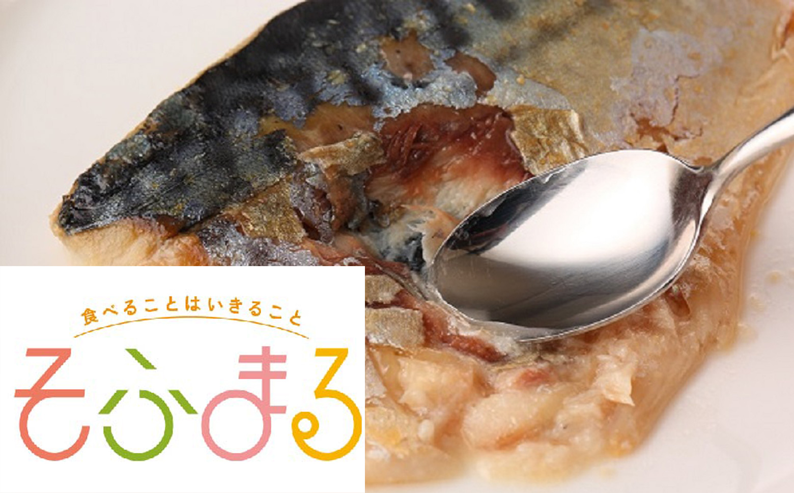 M-C16.【そふまるやわらか食】お肉セット(10食入)