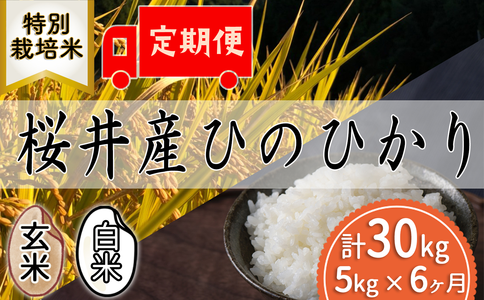 定期便【特別栽培米】＜玄米・白米＞桜井市高家産 ヒノヒカリ （5kg×6回）