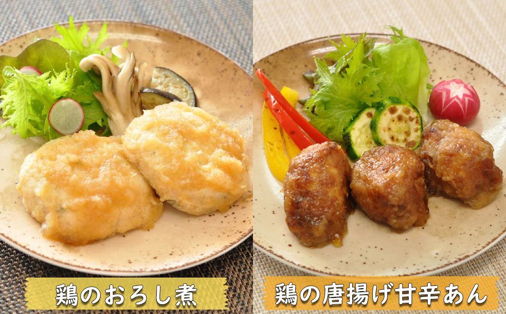 M-C16.【そふまるやわらか食】お肉セット(10食入)