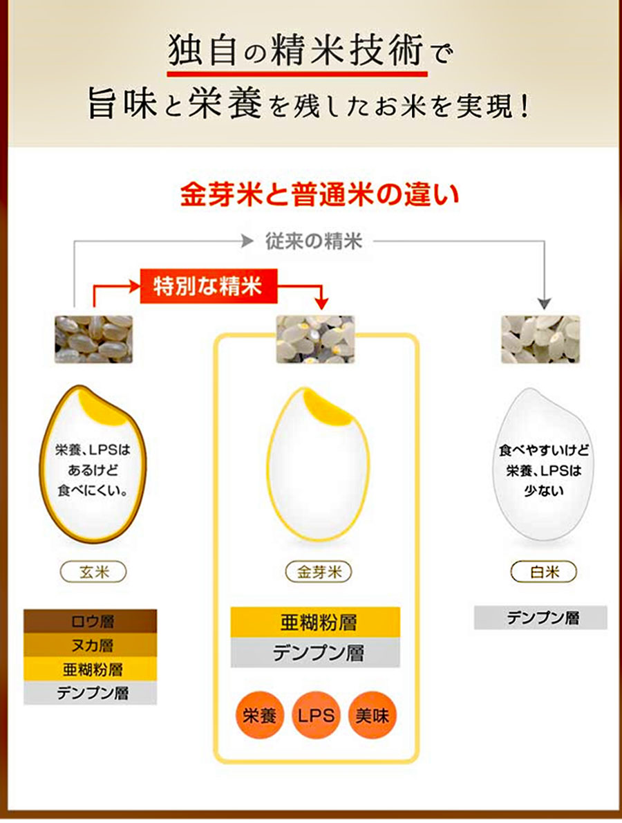 M-JAG1.金芽米（無洗米）奈良県産ヒノヒカリ 5kg　定期便【12回】毎月のお届け