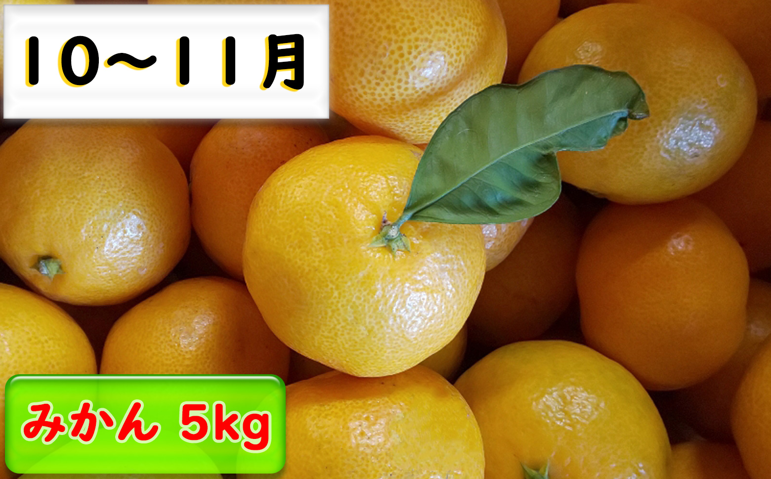 M-DH4.【年４回 季節の果物をお届け】 季節の果物定期便