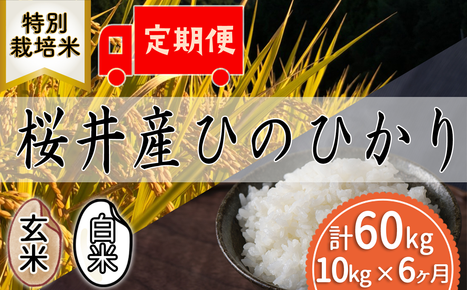 定期便【玄米・白米】＜特別栽培米＞桜井市高家産 ヒノヒカリ 10kg×6回