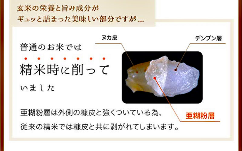 M-F3.金芽米（無洗米）奈良県産ヒノヒカリ 5kg　定期便【６回】