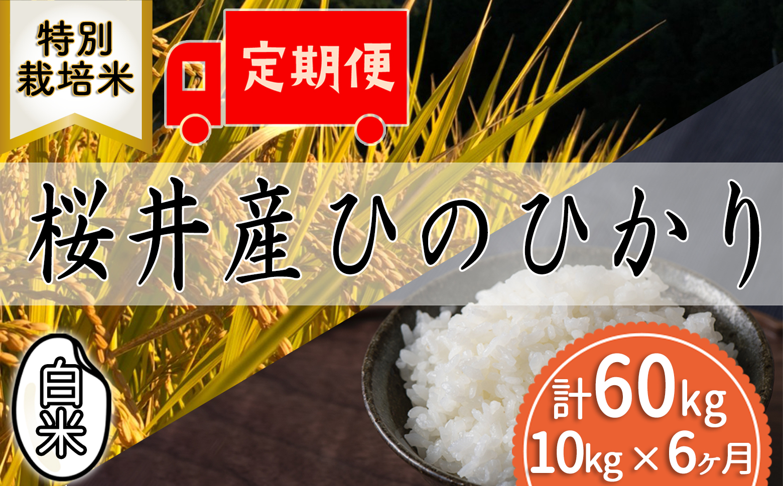 定期便[白米][特別栽培米]桜井市高家産 ヒノヒカリ 10kg