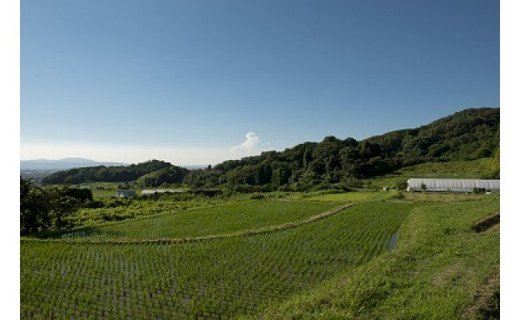 CH-4.【記紀万葉ふるさと巡り】観光ツアータクシー　山の辺の道コース（2時間利用）