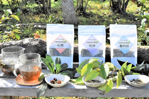 阿騎野薬草農園茶 3種セット／杜仲 山桃 藪肉桂 お茶 乾燥葉 化学肥料