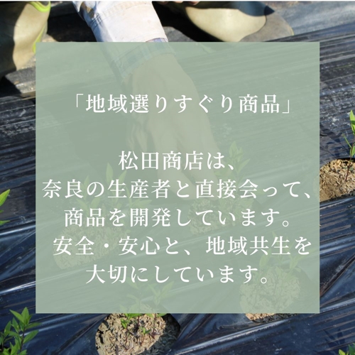 セイタカアワダチソウ　入浴用　ハーブ　（16回分）／松田商店　ふるさと納税　お風呂　天然素材　科学薬品　不使用　せいたかあわだちそう　植物　エキス　奈良県　宇陀市