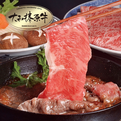 (冷凍)　肉料理　うし源　すき焼き　セット　サーロイン　4人前　800g／うし源本店　お取り寄せグルメ A5 黒毛和牛 父の日 奈良県 宇陀市 お中元 贈答用 贈り物 暑中見舞い お土産 お歳暮 内祝いまとめ買い 美味しい部位 キャンプ 送料無料