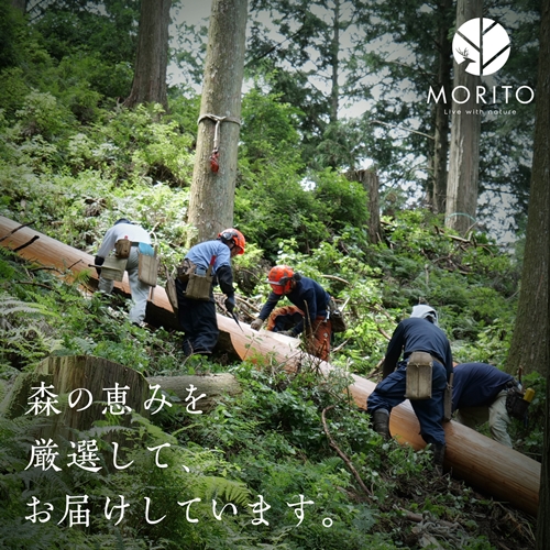 MORITO】丸太（切り株）とアイアンスツール（桧）／森庄銘木 サイド