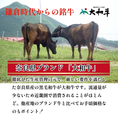 (冷凍) 大和牛 赤身 すき焼き 500g ／金井畜産  贈答 父の日 母の日 奈良県 宇陀市 お中元 贈答用 贈り物 暑中見舞い お土産 お歳暮 内祝い 美味しい部位 送料無料 ふるさと納税