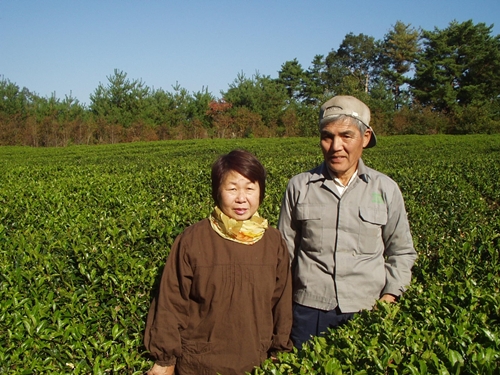 大和(ヤマト)のお茶 ほうじ茶 80g ／ ふじみ農園 荒茶 無農薬 奈良県