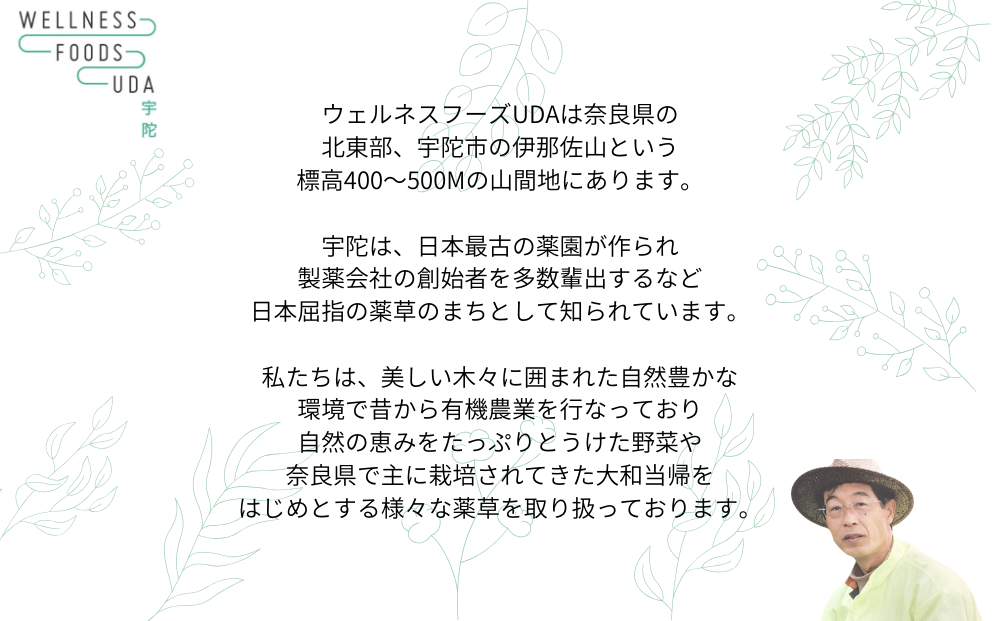 よもぎ 入浴剤 25包 (1袋 5包入×5個) /ウェルネスフーズ UDA ふるさと納税 無添加 有機栽培 おすすめ リラックス ストレス解消 ボディケア 肌荒れ 改善 疲労回復 送料無料 奈良 宇陀