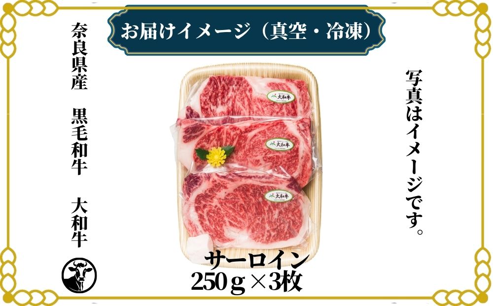 （冷凍） 大和牛 ステーキ サーロイン (250g×3枚) ／ 金井畜産 焼肉 キャンプ バーベキュー アウトドア 贈答 父の日 母の日 奈良県 宇陀市 お中元 贈答用 贈り物 暑中見舞い お土産 お歳暮 内祝い 美味しい部位 送料無料 ふるさと納税