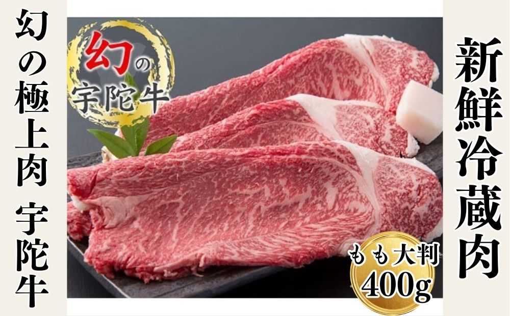 特産 認定肉 宇陀牛 国産 黒毛和牛 もも 大判 焼肉 約400g チルド / 宇陀 山繁 ふるさと納税 牛肉 レア 人気 BBQ キャンプ 寄付 ランキング おすすめ グルメ 肉 返礼品 送料無料 