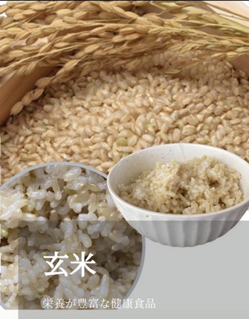 自然栽培米 新米 令和5年産 玄米 奥大和高原米3kg ／ 農家やまおか 無農薬 国産 お米 奈良県 宇陀市