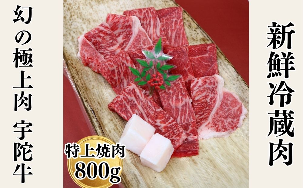 特産 認定肉 宇陀牛 国産 黒毛和牛 特上 焼肉 約800g チルド / 宇陀 山繁 ふるさと納税 牛肉 レア 人気 バーベキュー キャンプ 寄付 ランキング おすすめ グルメ 肉 返礼品 送料無料 黒毛和牛 焼肉 チルド 黒毛和牛 焼肉 チルド 黒毛和牛 焼肉 チルド 黒毛和牛 焼肉 チルド 黒毛和牛 焼肉 チルド 黒毛和牛 焼肉 チルド 黒毛和牛 焼肉 チルド 黒毛和牛 焼肉 チルド 黒毛和牛 焼肉 チルド 黒毛和牛 焼肉 チルド 黒毛和牛 焼肉 チルド 