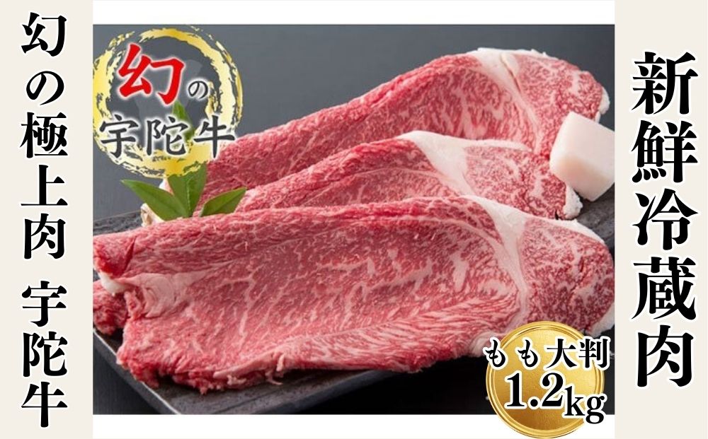 特産 認定肉 宇陀牛 国産 黒毛和牛 もも 大判 焼肉 約1.2kg チルド / 宇陀 山繁 ふるさと納税 牛肉 レア 人気 BBQ キャンプ 寄付 ランキング おすすめ グルメ 肉 返礼品 送料無料 