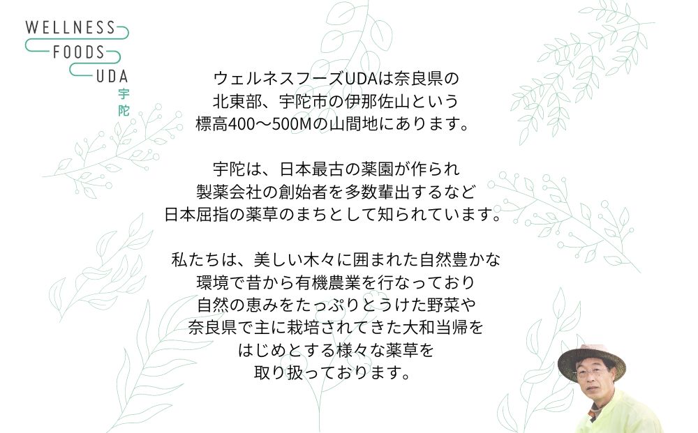 薬草のおふろ とうきかな 入浴剤 １箱(４包入×１個) /ウェルネスフーズ UDA 大和 当帰 ふるさと納税 おすすめ リラックス ストレス解消 ボディケア 肌荒れ 改善 疲労回復 送料無料 奈良 宇陀