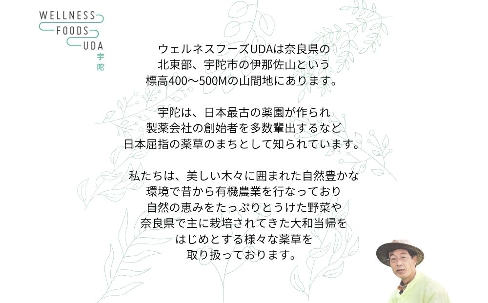 ミックス ハーブ 入浴剤 １箱(５包入)×２個/ ウェルネスフーズ UDA 大和 当帰 ふるさと納税 おすすめ リラックス ストレス解消 ゆず よもぎ アップル ミント 生姜 疲労回復 送料無料 奈良