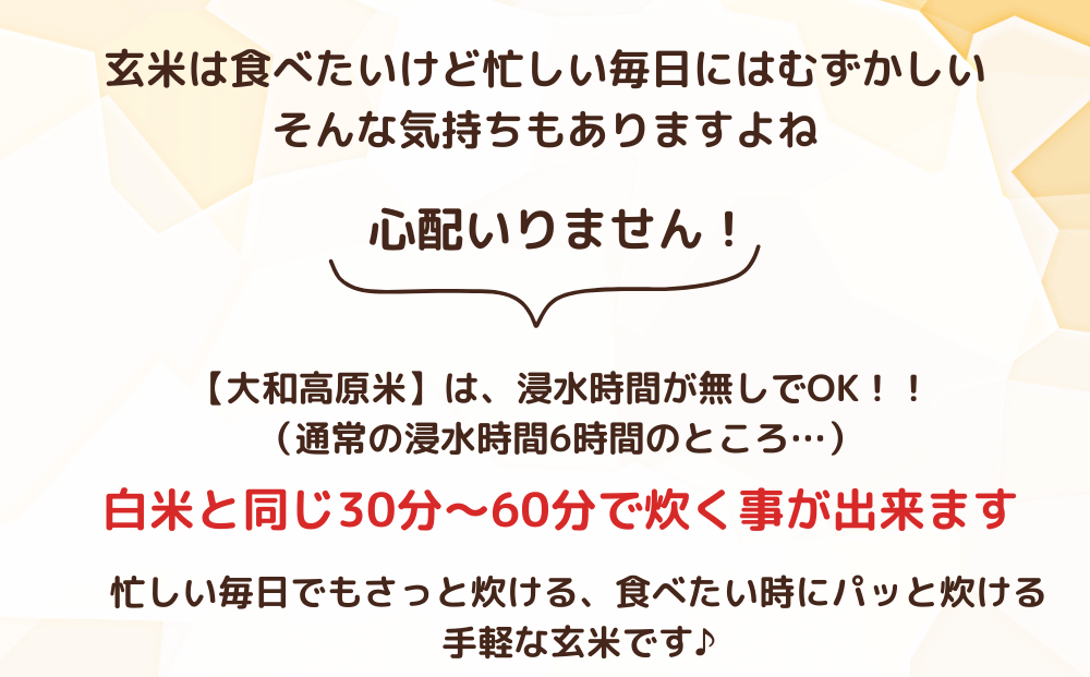 先行予約販売★自然栽培米★新米【令和6年産】玄米 奥大和高原米2kg ９月末より順次発送,自然栽培米,新米,令和6年産,玄米,奥大和高原米,農家やまおか,無農薬,国産,お米,奈良県,宇陀市無農薬