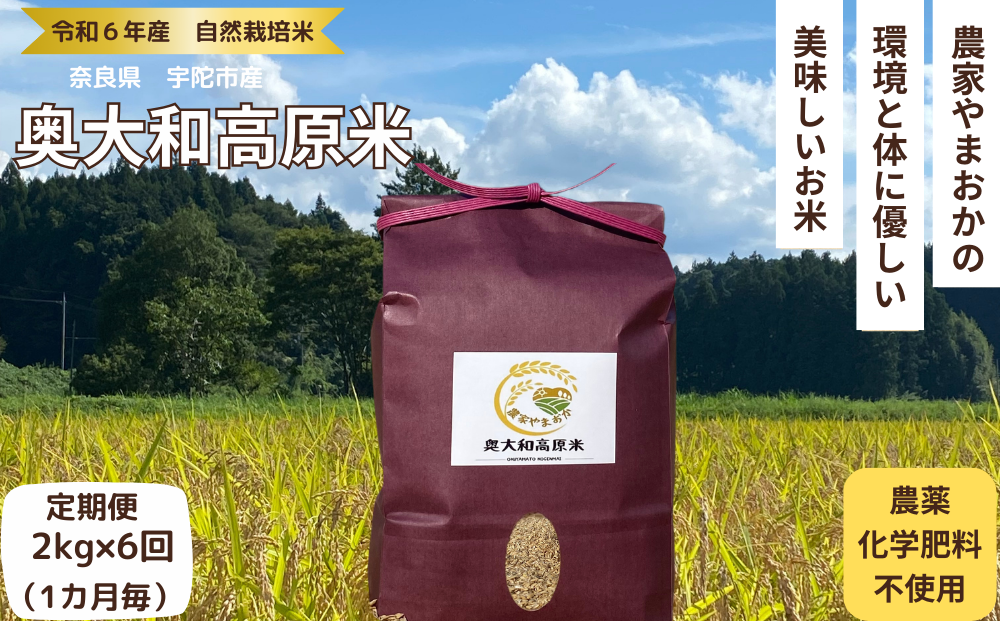 ★自然栽培米 ★定期便 毎月6回★新米 【令和6年産 】　玄米 2kg 9月末より順次発送 / 農家やまおか 自然栽培米 新米 令和6年産 玄米 無農薬 国産 お米 奈良県 宇陀市  ふるさと納税 送料無料