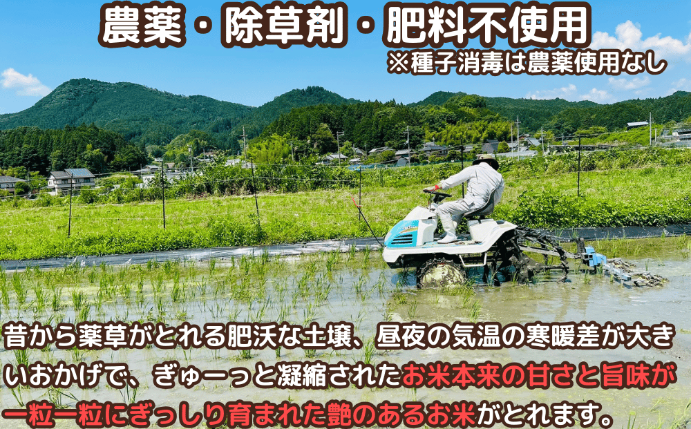 先行予約★自然栽培米 ★毎月６回★新米 【令和6年産 】　玄米 奥大和高原米2kg ９月末より順次発送，自然栽培米,新米,令和6年産,玄米,奥大和高原米,農家やまおか,無農薬,国産,お米,奈良県,宇陀市無農薬