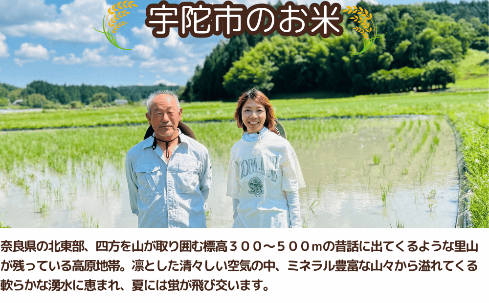 ★自然栽培米 ★定期便 毎月6回★新米 【令和6年産 】　玄米 2kg 9月末より順次発送 / 農家やまおか 自然栽培米 新米 令和6年産 玄米 無農薬 国産 お米 奈良県 宇陀市  ふるさと納税 送料無料