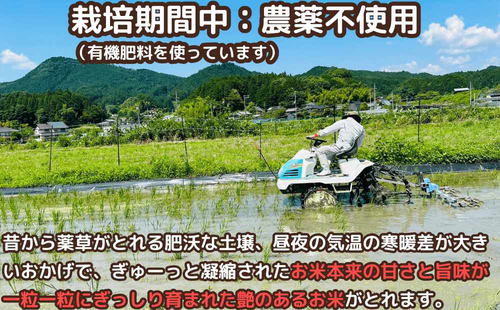 特別栽培米★新米 《令和6年産》 玄米 ２kg ９月末より順次発送/自然栽培米 新米 令和6年産 玄米 農家やまおか 無農薬 国産 お米 奈良県 宇陀市 送料無料 ふるさと納税 新米