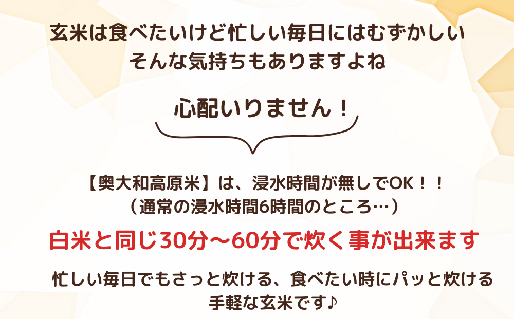 ★自然栽培米★新米【令和6年産】玄米 3kg ９月末より順次発送/自然栽培米 新米 令和6年産 玄米 農家やまおか 無農薬 国産 お米 奈良県 宇陀市 お米 玄米 送料無料