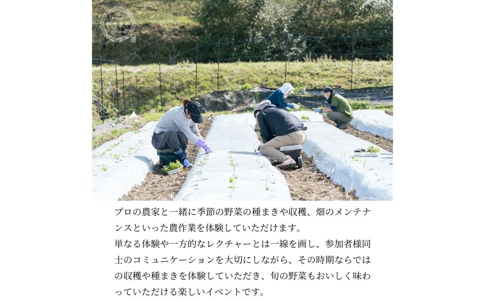 『旬刻旬菜』参加チケット（1名様）家庭菜園のお悩みをプロ農家に相談できるランチ付き農業体験 ／ なつかしいみらいサービス 送料無料 チケット 無農薬栽培 農業体験 家庭菜園 ふるさと納税 奈良県 宇陀市