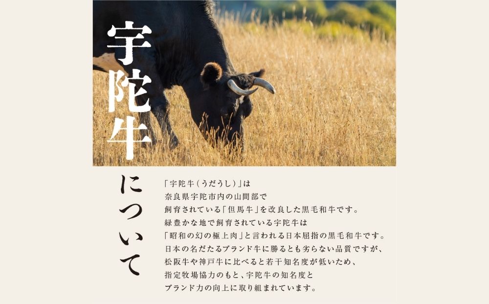 ＜3月発送＞特産 認定肉 宇陀牛 国産 黒毛和牛 特上 焼肉 約400g チルド / 宇陀 山繁 ふるさと納税 牛肉 レア 人気 バーベキュー キャンプ 寄付 ランキング おすすめ グルメ 肉 返礼品 送料無料