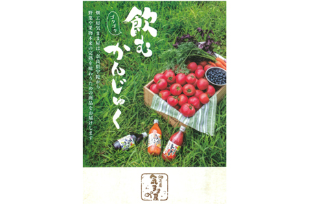 農家の手作りドリンクセット　飲みきりサイズ3種12本／トマト　ブルーベリー　トマトジュース　人参　人参ジュース