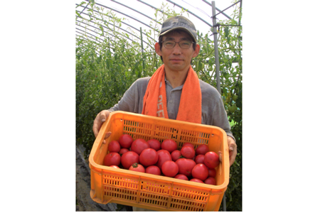農家の手作りドリンクセット　化粧箱入（１L×２本）２セット　計４リットル　／トマトジュース　リコピン