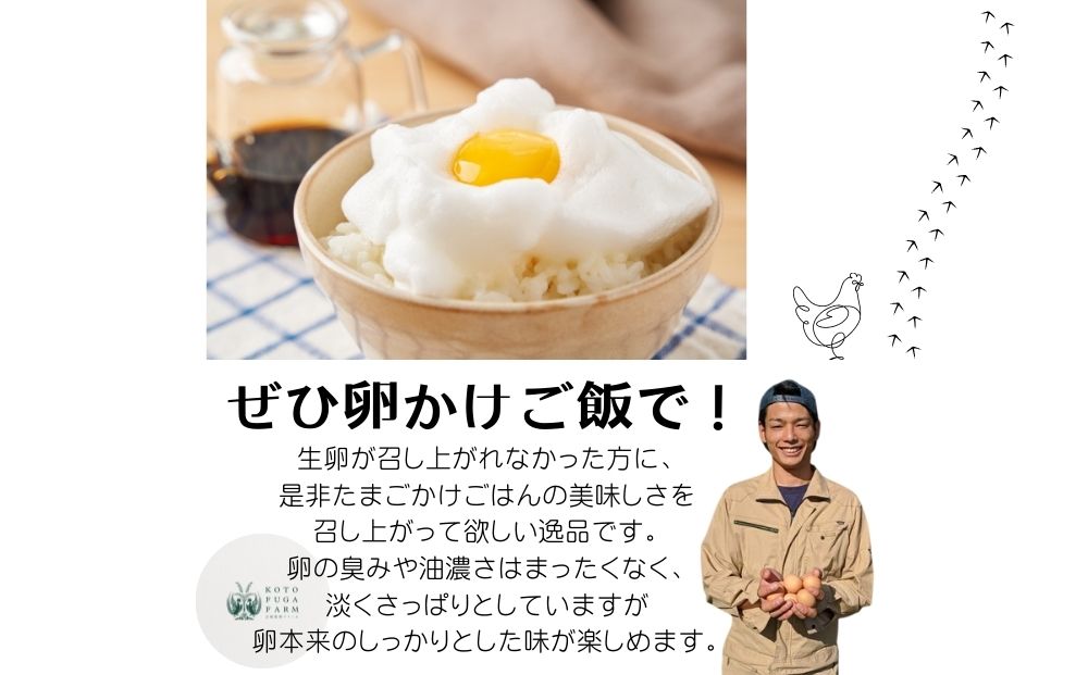 （冷蔵）美味しい　平飼い　飛鳥の卵　４０個／古都 風雅 ファーム たまご 玉子 鶏 卵 取り寄せ 新鮮 生食 安心 安全 健康卵 飛鳥 オーガニック 非遺伝子組み換え 奈良県 宇陀市