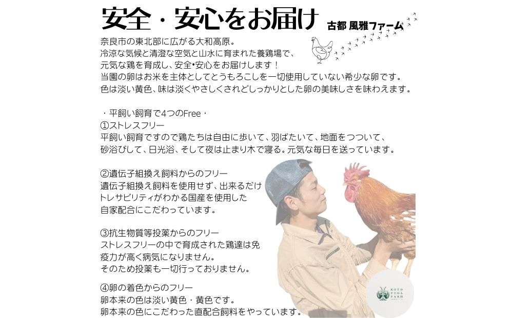 （冷蔵）美味しい　平飼い　飛鳥の卵　４０個／古都 風雅 ファーム たまご 玉子 鶏 卵 取り寄せ 新鮮 生食 安心 安全 健康卵 飛鳥 オーガニック 非遺伝子組み換え 奈良県 宇陀市