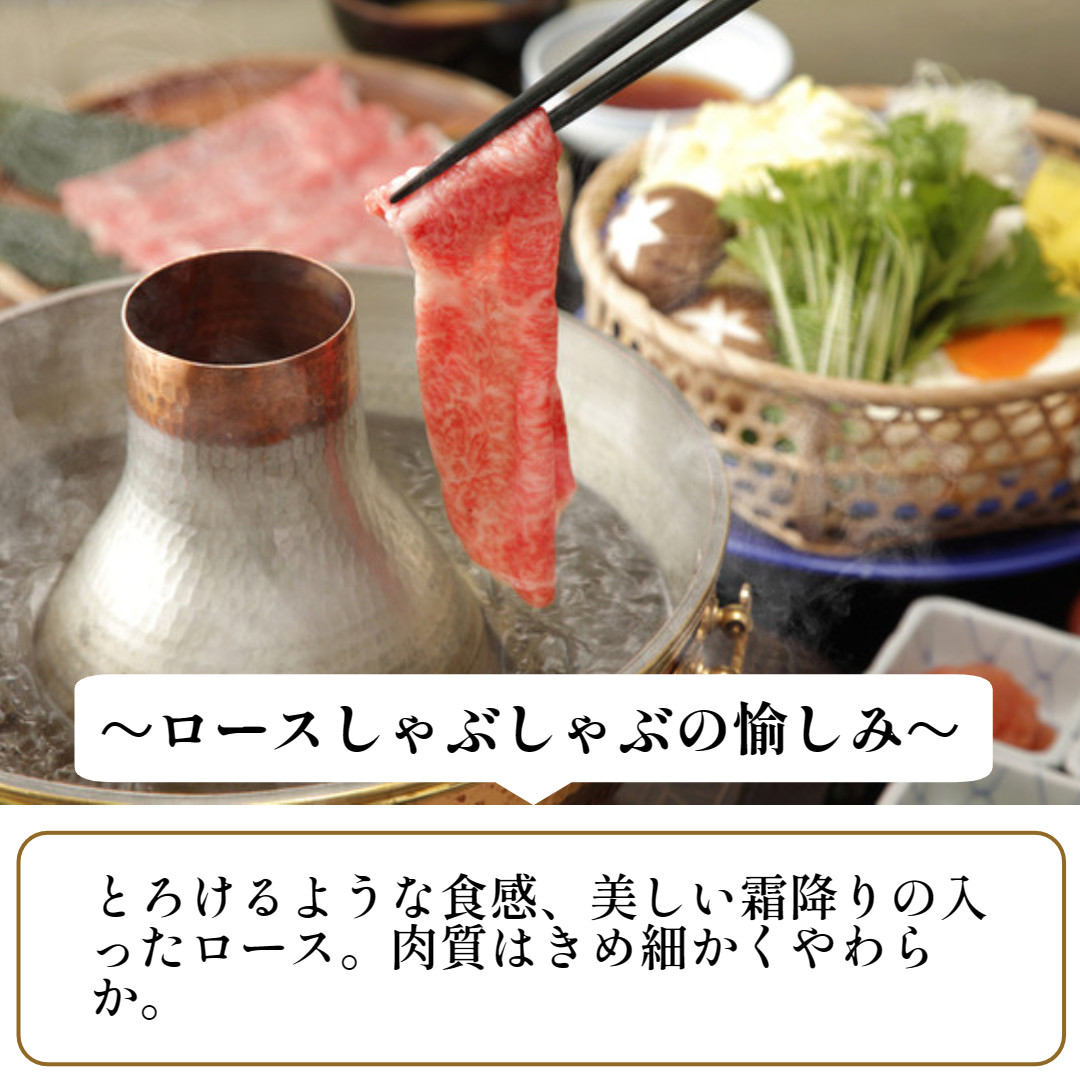 冷凍) 大和牛 ロース しゃぶしゃぶ 500g ／ 金井畜産 国産 ふるさと