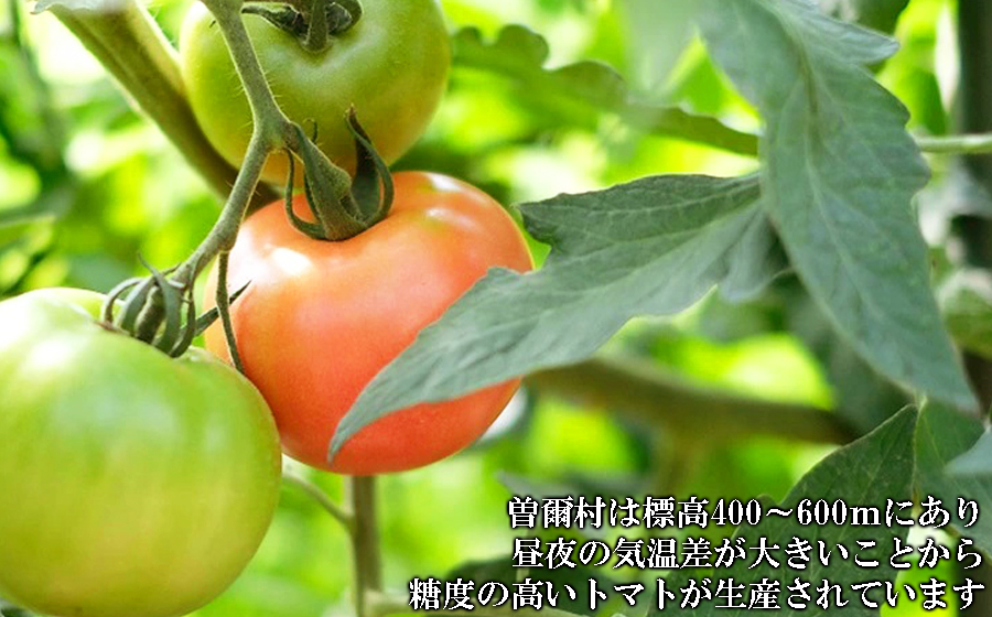 【極濃搾り】曽爾高原特産トマトの無添加100％トマトジュース（大）1ダース
