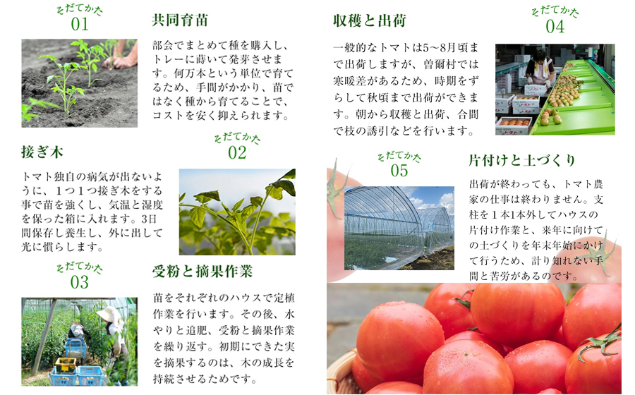 【極濃搾り】曽爾高原特産トマトの無添加100％トマトジュース（大）1ダース