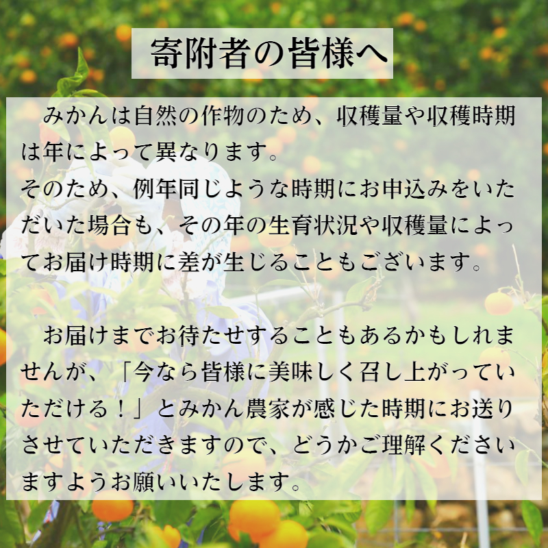 2.有田みかん「未来への虹」（10kg）(A2-1)