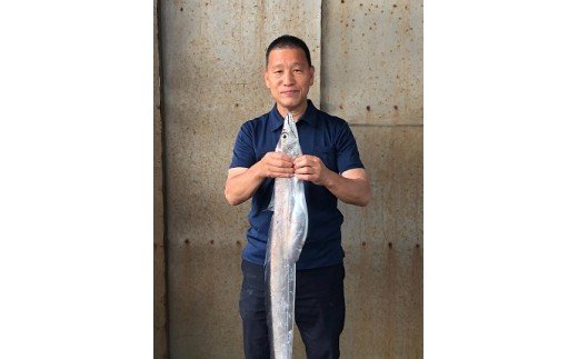 296 紀州 太刀魚 ドラゴンサイズ（１ｋｇ以上）(A296-1)