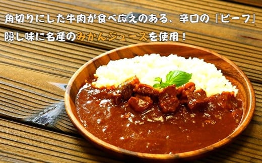 673.紀の国仕立て食べ比べセット【ビーフカレー：5個　ハヤシライス：5個】(A673-1)