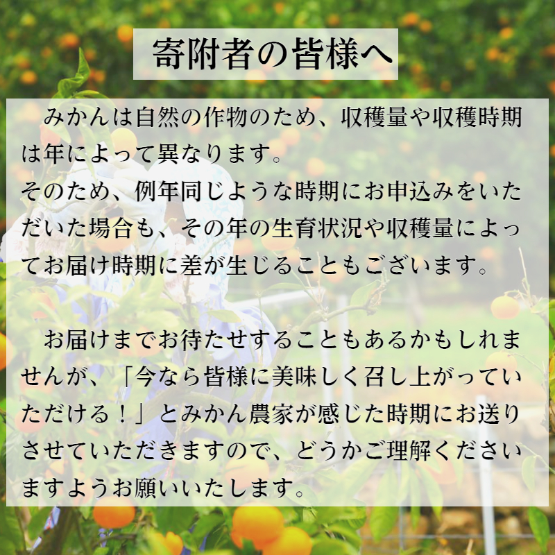 2.有田みかん「未来への虹」（10kg） - ふるさとパレット ～東急グループのふるさと納税～