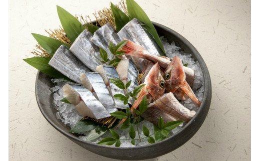 66 太刀魚と旬の魚セット(約4種類 / 約0.7~1kg程度)(A66-1)