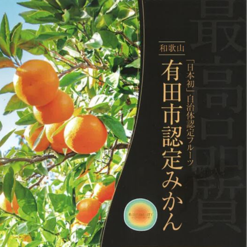 327.有田市認定みかん「未来への虹」至宝(3kg)【日本初自治体認定フルーツ】(A327-2)