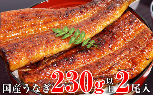 632.【数量限定】超特大サイズ国産うなぎ蒲焼き2本セット （230～249g×2本）(A632-2)